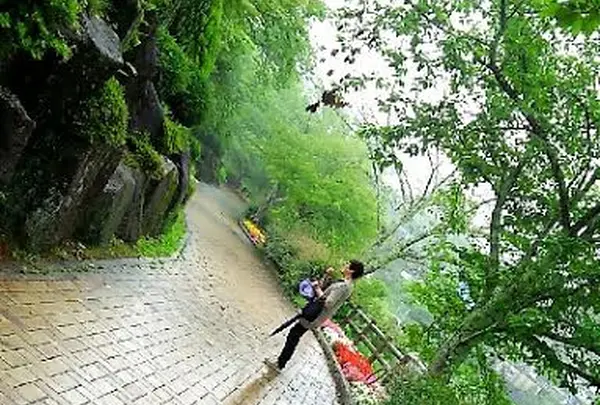 恵那峡さざなみ公園の写真・動画_image_248541