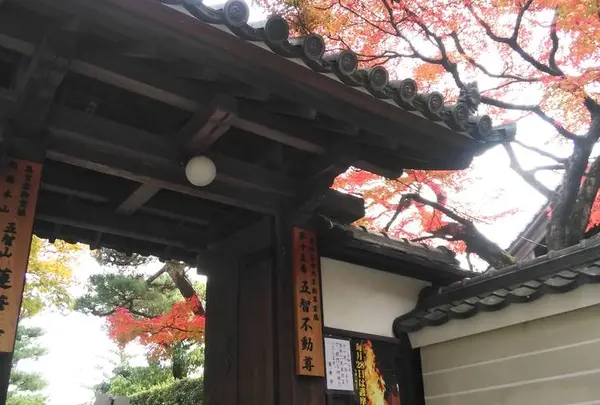 秘法”きゅうり封じ”でおなじみ「五智山 蓮華寺」