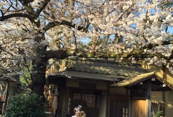 上野の杜の韻松亭