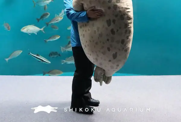 四国水族館