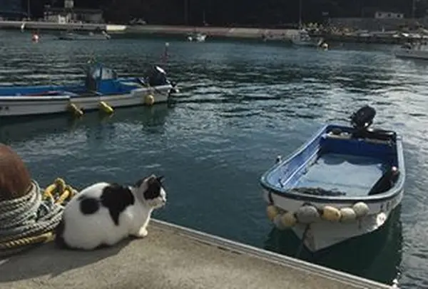 仁斗田港