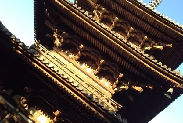 三溪園の写真・動画_image_20008