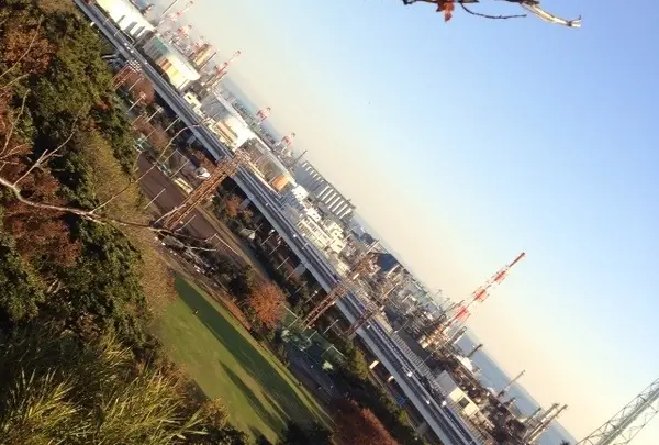 三溪園の写真・動画_image_20016