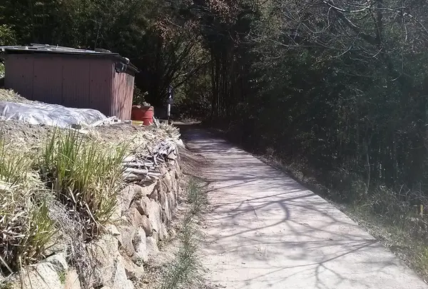 伏越港 フェリー乗り場の写真・動画_image_24019