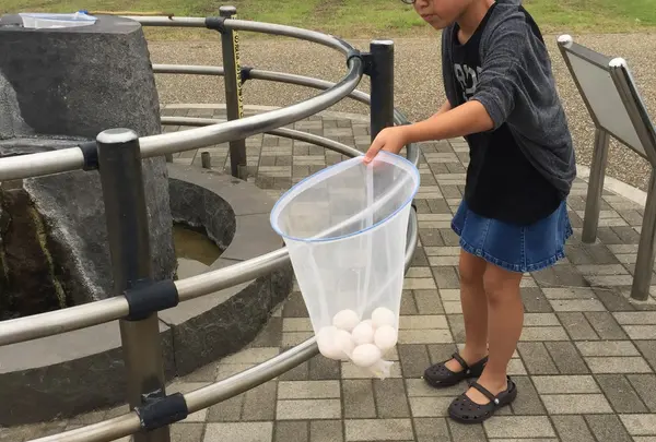 東郷湖畔公園の写真・動画_image_35489