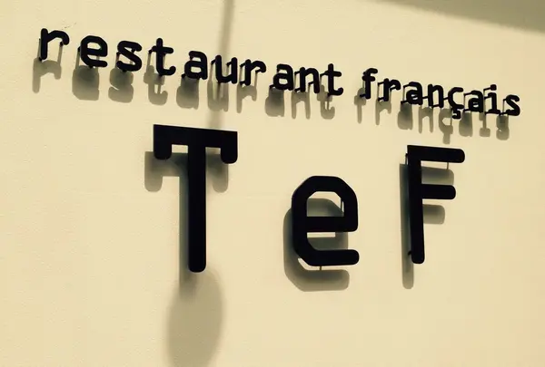 TeFの写真・動画_image_136828