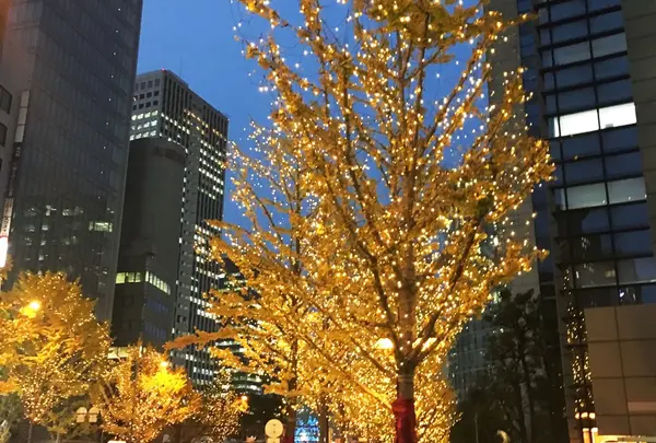 御堂筋の写真・動画_image_207092