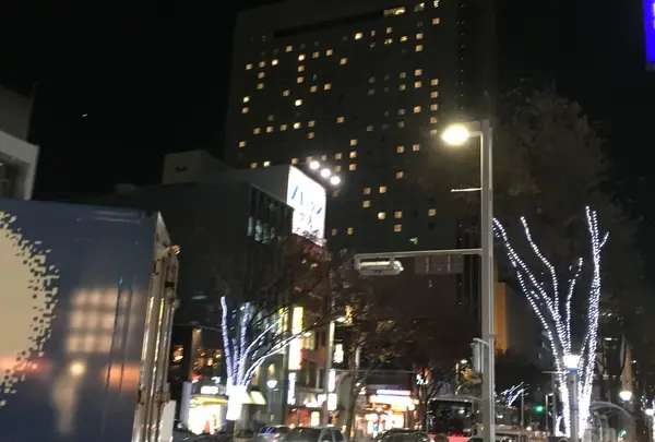 伏見 ヒルトン 辺り