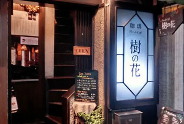 Flor de Cafe 樹の花