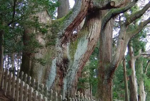 幣立神宮（幣立神社）