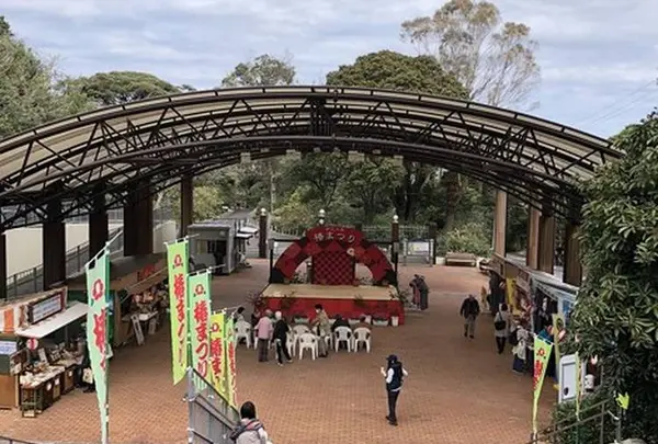 都立大島公園椿園