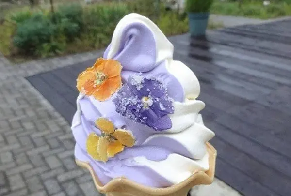 河口湖ハーブ館