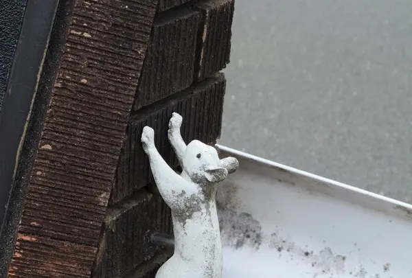 飛谷側道橋の写真・動画_image_217566