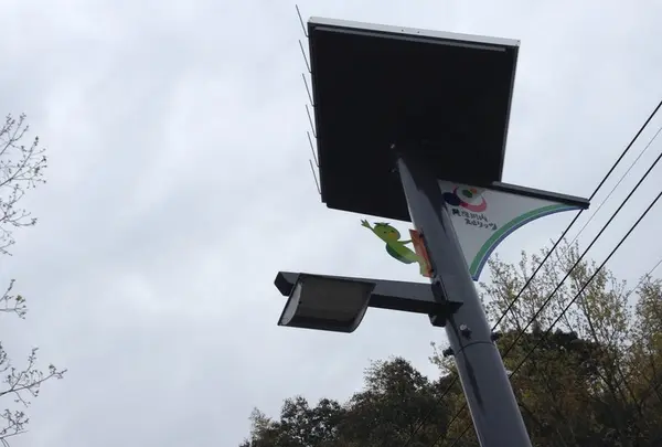 街灯の上