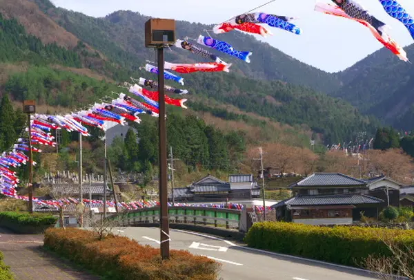 1000匹のこいのぼり