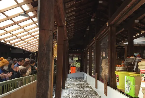 上賀茂神社（賀茂別雷神社）の写真・動画_image_56650