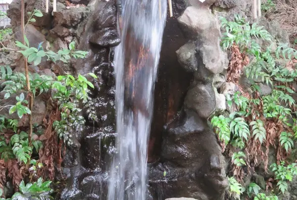 世田谷八幡宮の写真・動画_image_69337