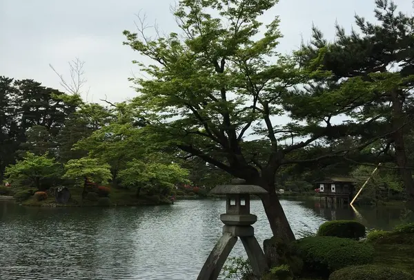 時雨亭の写真・動画_image_76704
