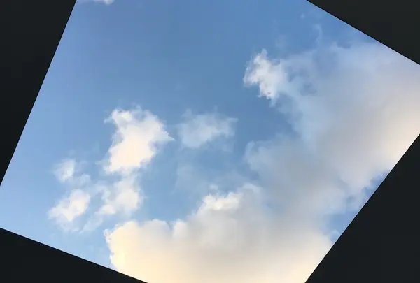 金沢21世紀美術館の写真・動画_image_78296
