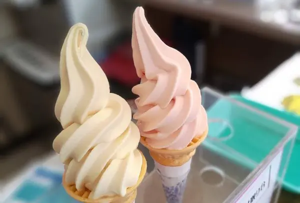 ふもとや本店