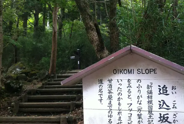 追込坂(ふっこみざか)
