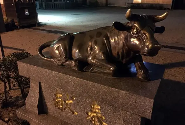 牛？？