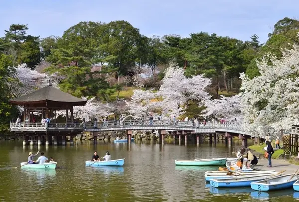 奈良公園 浮見堂