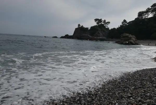 桂浜の写真・動画_image_156577
