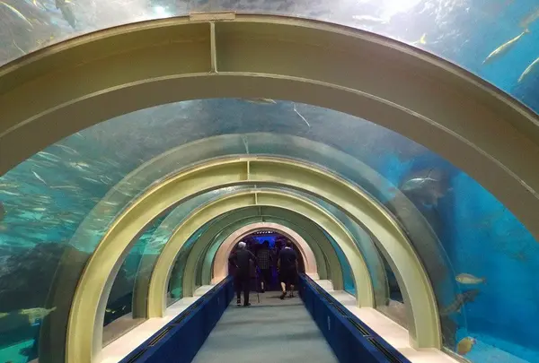 浅虫水族館の写真・動画_image_25364