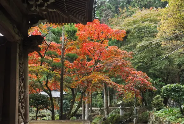 紅葉時期は観光客で賑わいます♪