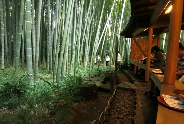 抹茶は竹林を眺める茶屋で