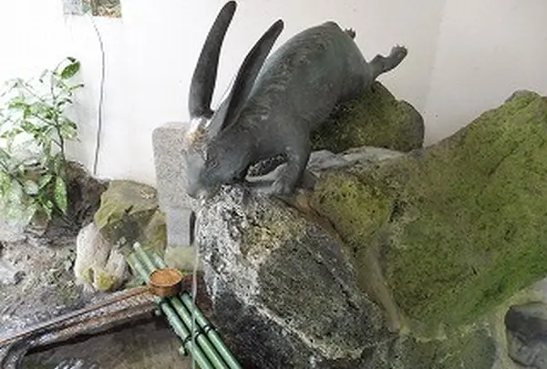 手水舎のウサギさん