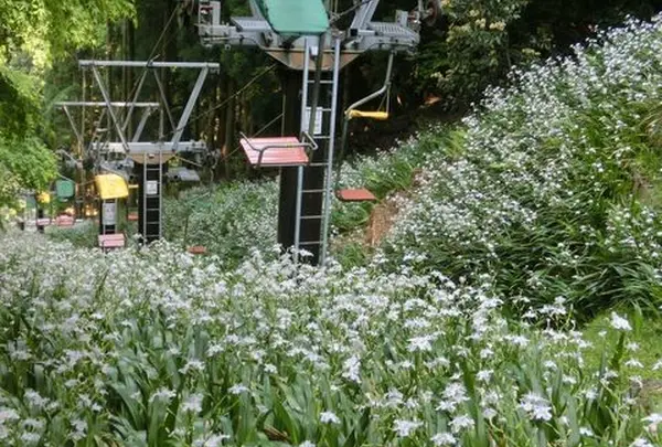 リフトで山頂へ