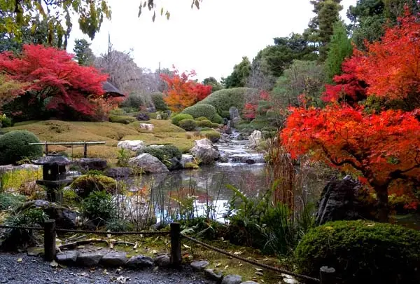 退蔵院の庭園