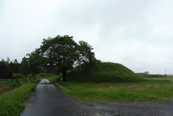 ”野古墳”の”野”は地名です。