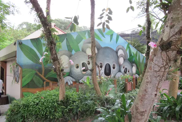 台北市立動物園無尾熊館(コアラ館)