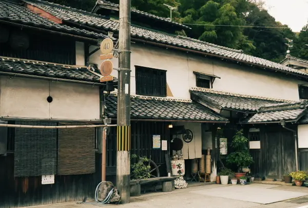 向井酒造