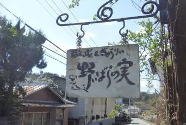 野いばらの実