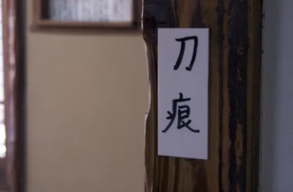 生々しい…