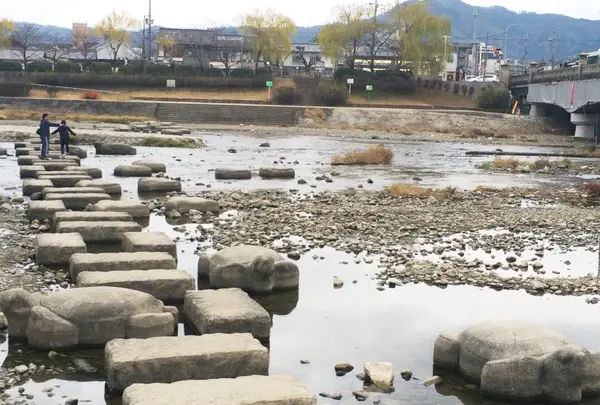 鴨川デルタの写真・動画_image_108483