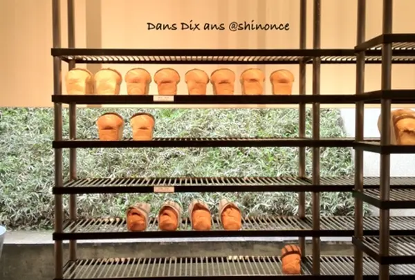 ダンディゾン（Dans Dix ans）