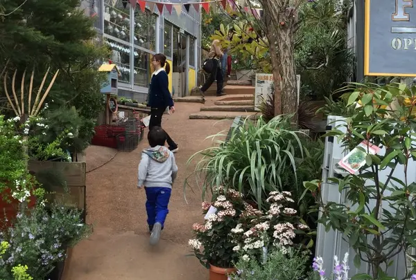 Solso Farmの写真・動画_image_32123