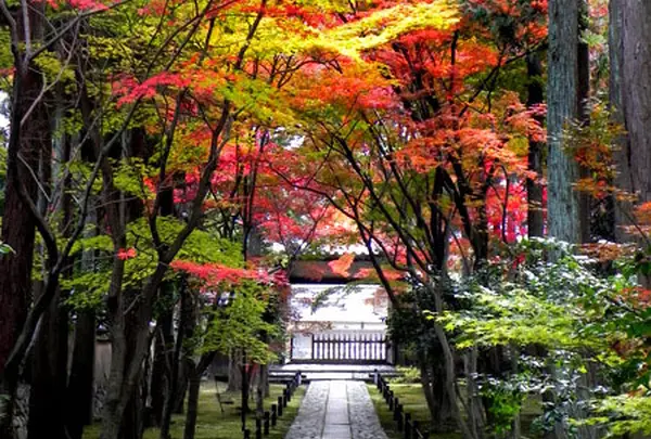 鹿王院