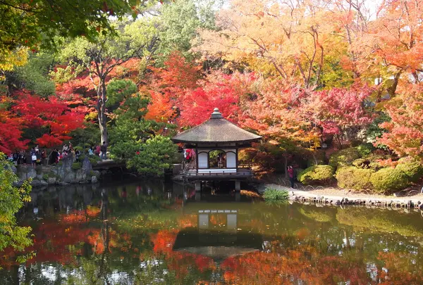 紅葉渓庭園の写真・動画_image_16950