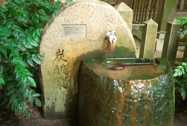 炭酸泉源広場の写真・動画_image_59517