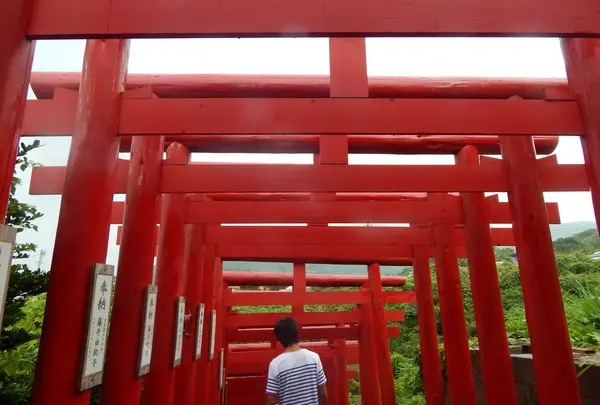 123基あります