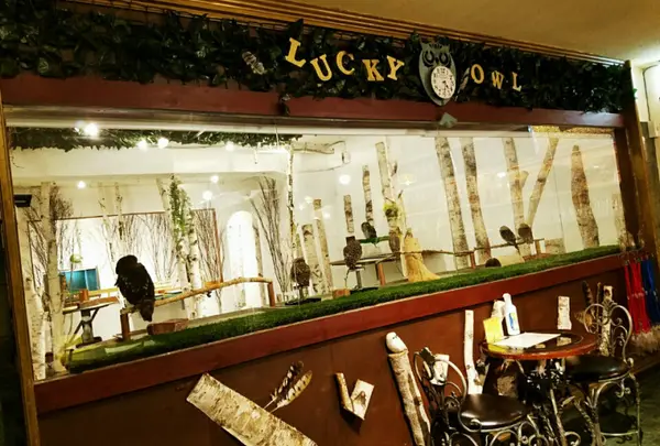 フクロウカフェLUCKY OWL 千日前