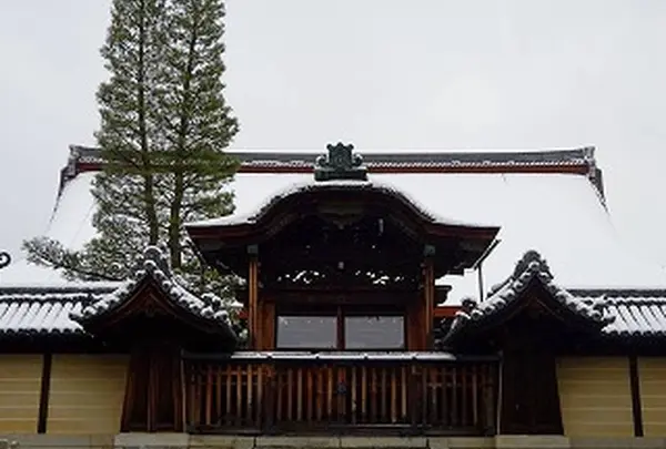 妙心寺の写真・動画_image_496651