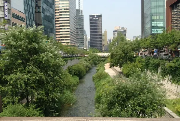 Cheonggyecheon　清渓川