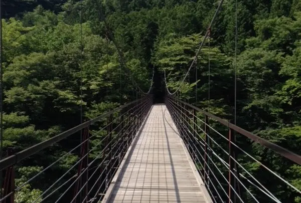 道志村 野原吊り橋